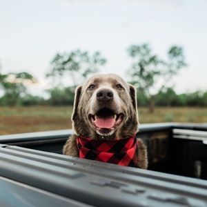 Meet your Posher, Gabby